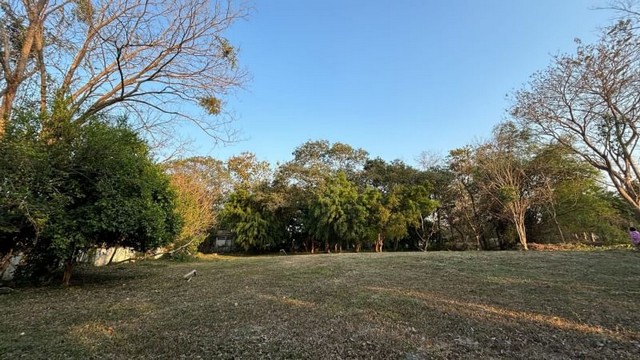 ที่ดินปรับถมแล้ว มีลำน้ำล้อมรอบ หมู่บ้านฟอร่าวิลล์ ดอยสะเก็ด