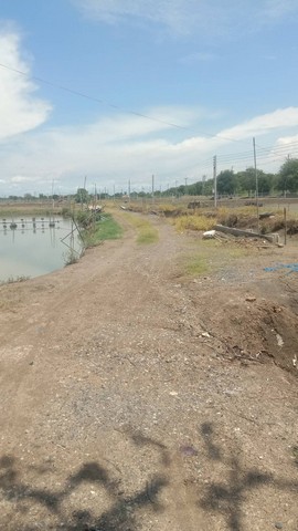 ขายที่ดินอยู่อำเภอบางประกงจังหวัดฉะเชิงเทราเนื้อที่33ไร่ถนนหน้าดำ กว้าง8 ม. น้ำไฟเข้าถึงเรียบที่ดิน ตามถนน