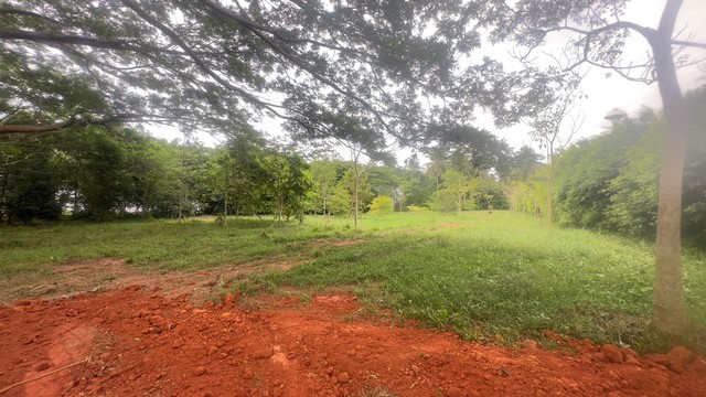 แบ่งขายที่ดิน บ้านฝั่งแดง  หมู่ 4 ต.ทรายทอง อ.บางสะพานน้อย จ.ประจวบฯ  ติดทะเลมีทั้งหมด  5 แปลง 