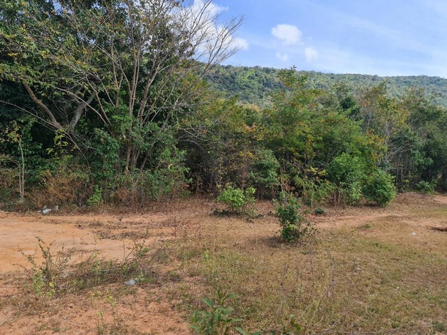 อสิงห์หา ขายเช่าทรัพย์ดีราคาคุยได้ผ่อนได้   ขาย ติดเทือกเขายาวเรียงแนว ดินดีสมบูรณ์ทรัพย์ในดิน  ตำบลนาจาน อำเภอสีชมพู ฟ้าใสอากาศดีขอนแก่น 