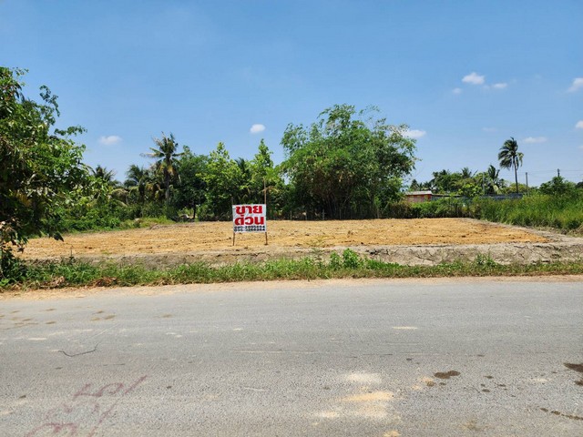 ขายที่ดิน ทำเลสวย ในเมืองอำเภอนครปฐม จังหวัดนครปฐม เนื้อที่ 242 ตารางวา