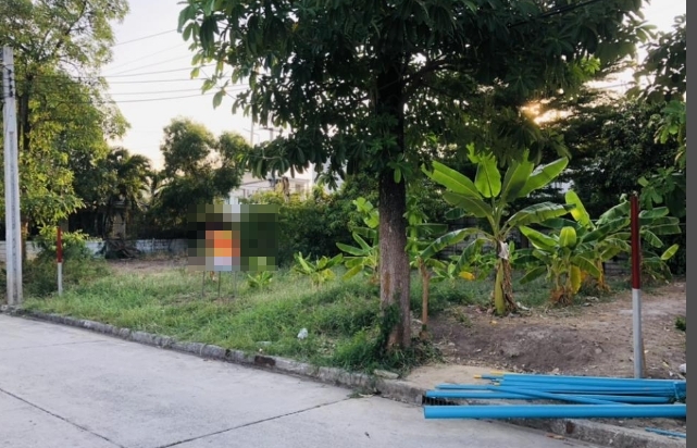 ขายที่ดิน 60 ตรว ใน หมู่บ้านนีโอซิตี้  นาวงประชาพัฒนา-สรงประภา ดอนเมือง ใกล้โรงเรียนหอวังนนทบุรี เหมาะสร้างบ้าน 