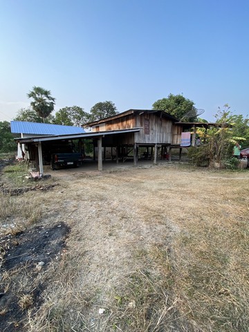 อสิงห์หา ขายเช่าทรัพย์ดีราคาคุยได้ผ่อนได้  ขาย จ.สิงห์บุรี  วิถีไทยอยู่อย่างไทย  ตำบลโพทะเล วิถีไทย 262 วา ต.โพทะเล อ.ค่ายบางระจัน สิงห์บุรี 500000บาท