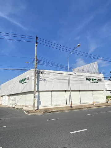 ให้เช่าอาคารสำนักงาน พร้อมโกดัง ขนาด 1000 ตรม แปลงหัวมุมติดถนนประเสริฐมนูกิจ เกษตรนวมินทร์ 