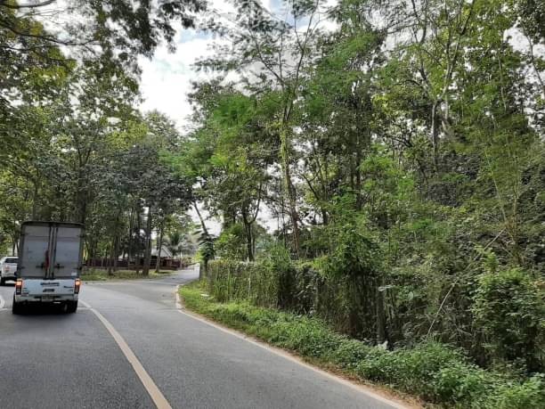 โซนหางดง ขายตรว.ละ 23,000 บาท เนื้อที่ 2-1-70 ตรว. หนองควาย ติดถนน ข้างพืชสวนโลก เดินทางไปสนามบิน 20 นาที มช. 25 นาที