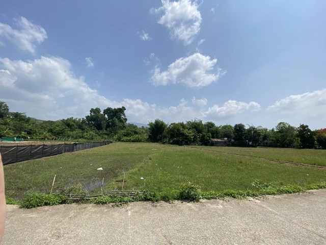 ขายที่ดิน1-1-53ไร่ 13.27ลบ. วิวดอยสุเทพ ต.หนองควาย อ.หางดง เชียงใหม่#ขายที่ดินเปล่า วิวดอยสุเทพ ธรรมชาติสุดสวย✅เนื้อที่ 1 ไร่ 1 งาน 53 ตร.ว พิกัด ต.หนองควาย จ.เชียงใหม่ราคา 13,272,000 บาท, ค่าโอนคนละครึ่ง24,000 บาท/ตรว.✅เข้า-ออก ได้ 2 ทาง✅บรรยากาศเงียบสงบวิวดีคุ้มค่าเดินทางสะดวก ใกล้สถานที่ท่องเที่ยว และห้างสรรพสินค้า♦️ห่างจากพืชสวนโลก 2.8 กม.♦️ห่างจาก กาดฝรั่ง 5 กม.♦️ห่างจากวัดพระธา