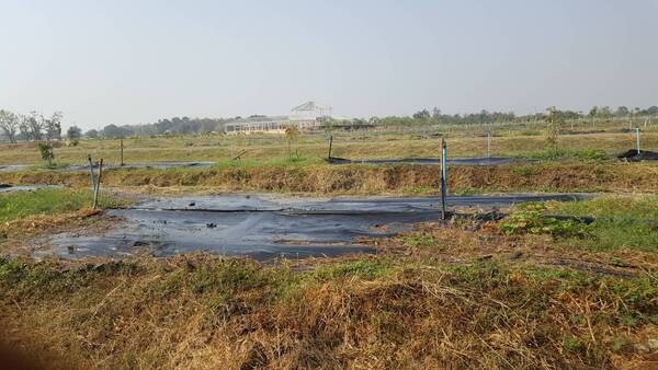 ที่ดินเปล่า ต.อิสาณ จ.บุรีรัมย์ ตรงข้ามที่ดิน เป็นสวน ทุเรียน