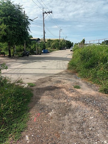 ขายด่วนที่ดิน ซอยรุ่งโรจน์ ตลาดเพชรอารี ต.แพรกษาใหม่ อ.เมืองจ.สมุทรปราการ