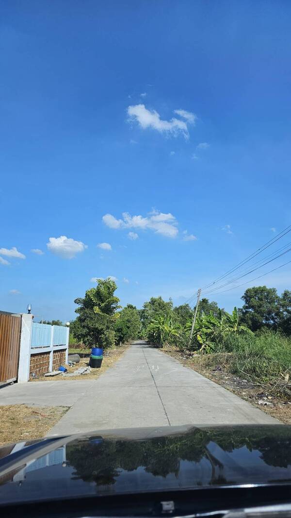 ขายที่ดินเปล่า 188 ตรว. คลอง 12 หนองเสือ ปทุมธานี ใกล้ตลาดบัวหลวง เหมาะกับปลูกบ้าน