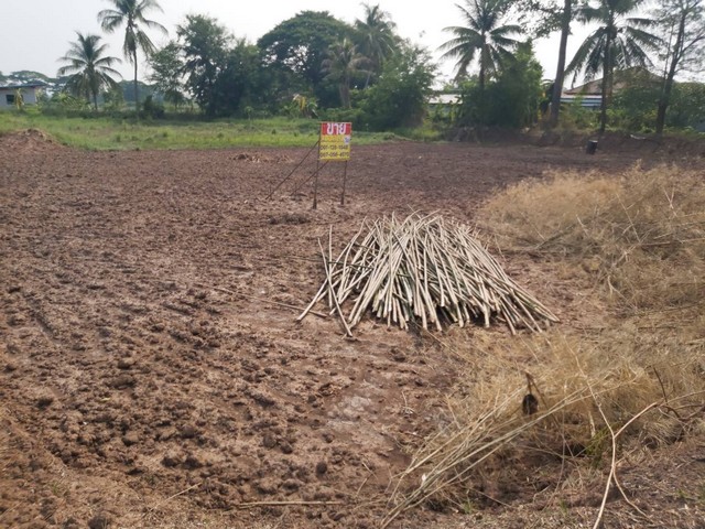 ขายด่วน ที่ดิน 1-3-20.2 ไร่  ใกล้ ร.ร.บ้านนาเพียง ต.สำราญ ขอนแก่น   ZE645