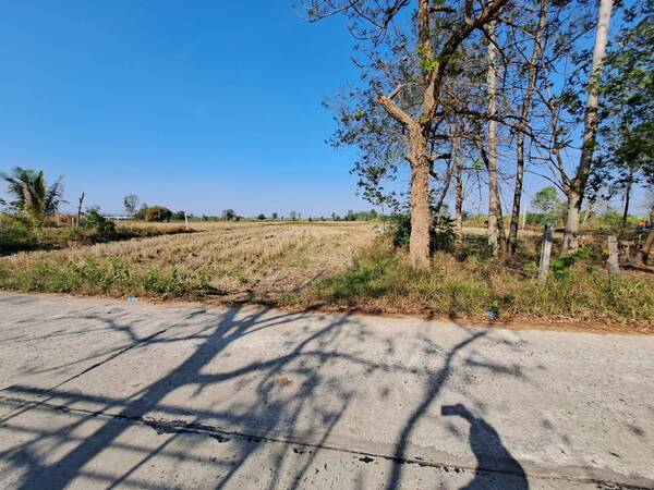 ขายด่วน ที่ดินเปล่าแปลงสวย 3 ไร่ ราคาถูกมาก ต.โนนสะอาด อ.หนองเรือ จ.ขอนแก่น