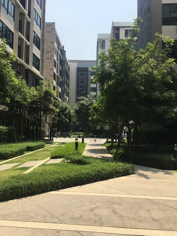 ให้เช่า /ขายคอนโดนครปฐม ไอคอนโดแคมปัสศาลายา2  I condo salaya 