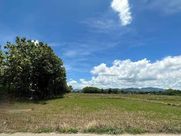 โซนสันกำแพง แช่ช้าง เนื้อที่ 5-3-40 ไร่ ขายไร่ละ 2.5 ล้าน. ที่ดินติดชุมชน ใกล้ถนนใหญ่ ใกล้เมือง #เหมาะสร้างบ้านขาย ถนนคอนกรีต น้ำ ไฟฟ้าพร้อม