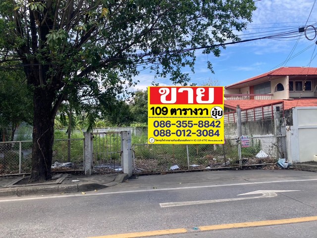 ขายที่ดิน เนื้อที่ 109 ตรว. ซอยพัฒนาการ 53  ที่ดินอยู่ติดถนนสาธารณะประโยชน์  ไม่ต้องถม   ZT380 