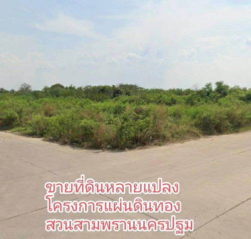 ขายที่ดิน 2 ไร่ โครงการแผ่นดินทอง    ถนนบ้านแพ้วพระประโทน กม.21  สามพราน นครปฐม   ZW363