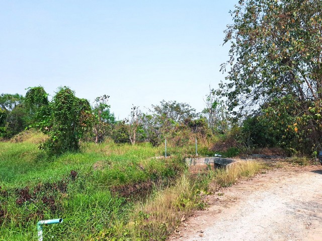 ขาย ที่ดิน ต.หนองแก๋ว อ.หางดง จ.เชียงใหม่  PAP6-0137