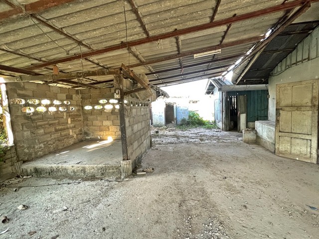 ที่ดินคลองสิบสาม วิหารแดง สระบุรี แบ่งขาย 1 ถึง 2 ไร่ขึ้นไป