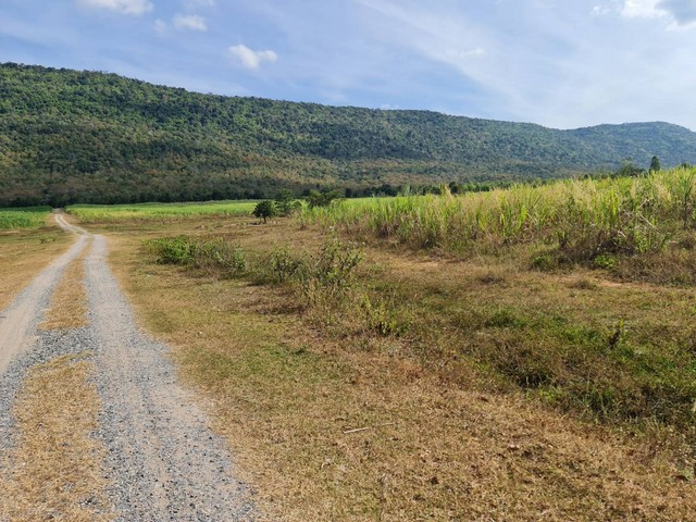 โปรลดแรงเอาใจลูกค้าแถมราคาคุยต่อรองได้ ขาย ติดเทือกเขายาวเรียงแนว ดินดีสมบูรณ์ทรัพย์ในดิน  ตำบลนาจาน อำเภอสีชมพู ฟ้าใสอากาศดีขอนแก่น 