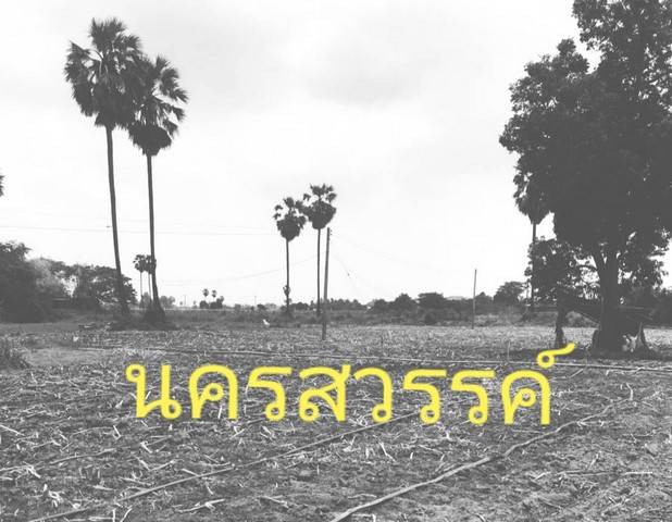 โปรลดแรงเอาใจลูกค้าแถมราคาคุยต่อรองได้  ขาย ทางสายหลักผ่านหลากหลายจังหวัดแห่งเมืองไทย  ชุมแสง  จ.นครสวรรค์ 300000 บาท.วิวแม่น้ำเกษตรดีงามสวยสมบูรณ์