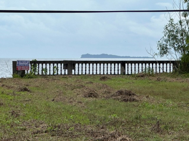 โปรลดแรงเอาใจลูกค้าแถมราคาคุยต่อรองได้ ขายที่ดินริมหาดสะพลีทรายขาวน้ำใสคราม สวยงามวิวทะเลธรรมชาติสุดสุด ปะทิวใกล้หาดสวยทุ่งวัวแล่น  