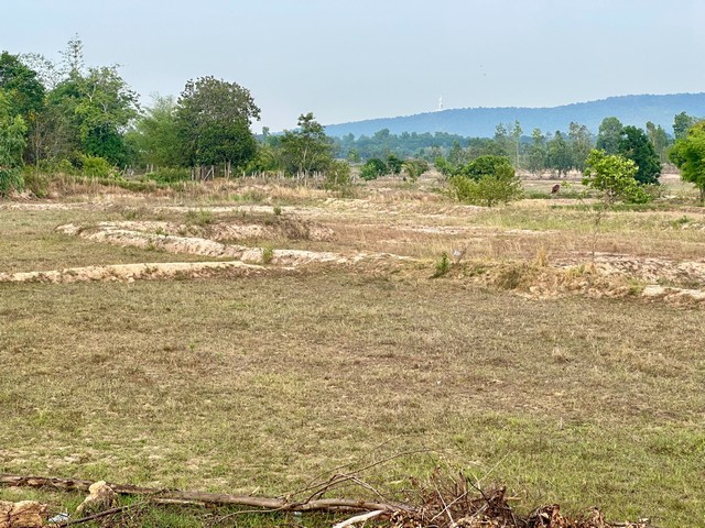 ขายที่ด่วน 5ไร่ ใกล้ในเมืองมุกดาหาร ตำบลคำฮายวน อำเภอเมืองมุกดาหาร จังหวัดมุกดาหาร