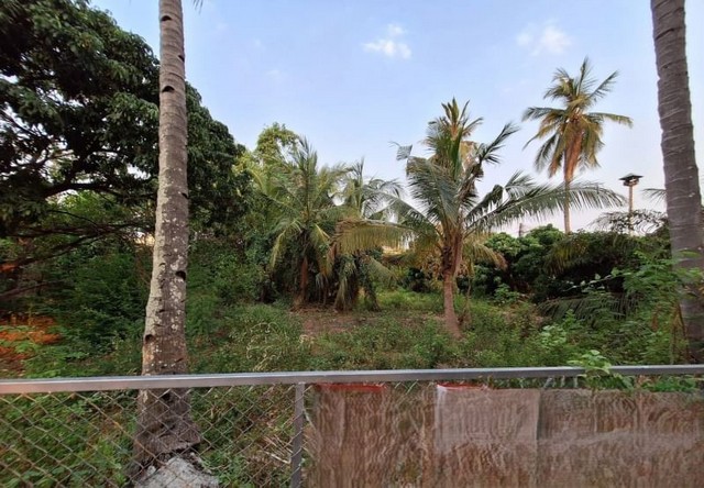 ที่ดินแปลงทอง  ติดตลาดยางเนิ้ง สารภี                       