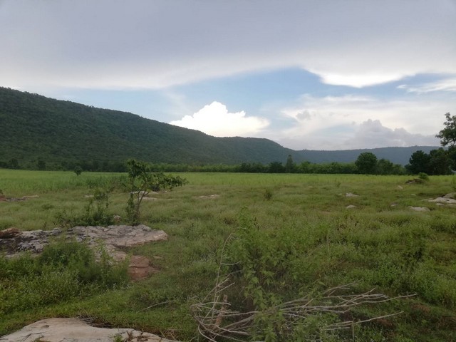 คุยง่าย บริการหลังการขายดี ให้ข้อมูลพร้อมบริการพาชมที่จริง ขาย ติดเทือกเขายาวเรียงแนว ดินดีสมบูรณ์ทรัพย์ในดิน  ตำบลนาจาน อำเภอสีชมพู ฟ้าใสอากาศดีขอนแก่น 