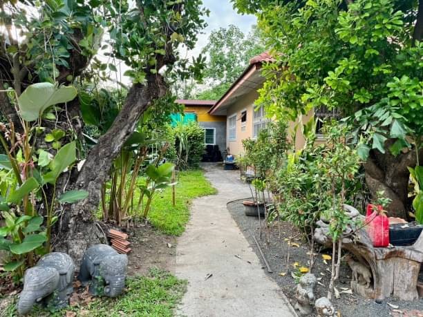 สุดคุ้ม ขายเพียง 3.5 ล้าน 150 ตรว. โซนดอยสะเก็ด มีบ้าน 3 หลัง ในบริเวณ บ้านร่มรื่น เดินทางสะดวก