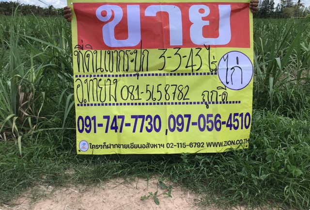 ขายที่ดิน 3-3-43 ไร่ ใกล้ อ.ชะอำ  ห้วยทรายเหนือ ต.เขากระปุก อ.ท่ายาง  จ.เพชรบุรี   ZW331