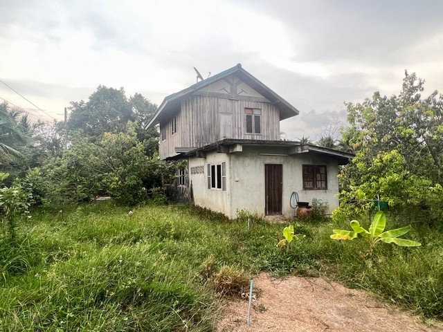 ขายที่ดินพร้อมสิ่งปลูกสร้าง  270 ตร.วา  ใกล้ตลาดน้ำอัมพวา  สมุทรสงคราม   ZW364