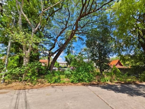 โซนวัดเกต ขายที่ดิน 10 ล้าน เนื้อที่ 200 ตรว. อำเภอเมือง ทำเลดี ถนนทุ่งโฮเต็ล ใกล้สถานนีขนส่งอาเขต ใกล้เซ็นทรัลเฟสติวัล