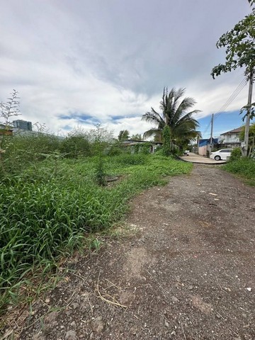 ขายที่ดินแปลงสวยใกล้สวนหลวง ร.9 ราคาถูกที่สุดในย่านนี้ ถนนเฉลิมพระเกียรติฯ ซอย 6 แยก 3