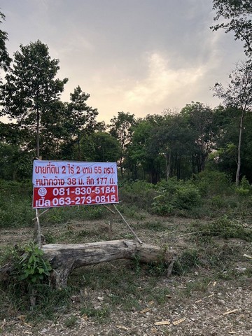 ขายที่ดินโฉนดในเขต ต.แวงน่าง อ.เมืองมหาสารคาม จ. มหาสารคาม