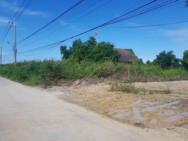 ขายที่ดินซอยบางปู111 เพลินจิต ถนนสุขุวิทสายเก่า บางปู สมุทรปราการ