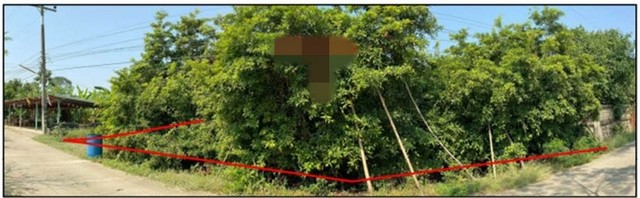 ขายที่ดิน  อำเภอโกรกพระ  นครสวรรค์ (PG-NSN-LD-A-660005)