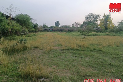 ขาย ที่ดิน แปลงสวย ถมแล้ว ติดทางสาธารณะ เจริญธรรม วิหารแดง สระบุรี