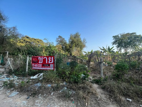 ที่ดินเปล่า 390 วา ซอยโพธิสาร 3 ถนนสุขุมวิท -พัทยา อำเภอบางละมุง ชลบุรี