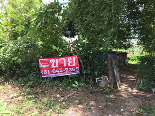 ขายด่วนที่ดินเปล่า หลังเมืองจำลอง พัทยา ทำเลซอยสุขุมวิท -พัทยา 33 แยก 2 สุดซอย ถนนสุขุมวิท ตำบลนาเกลือ อำเภอบางละมุง จังหวัด ชลบุรี 