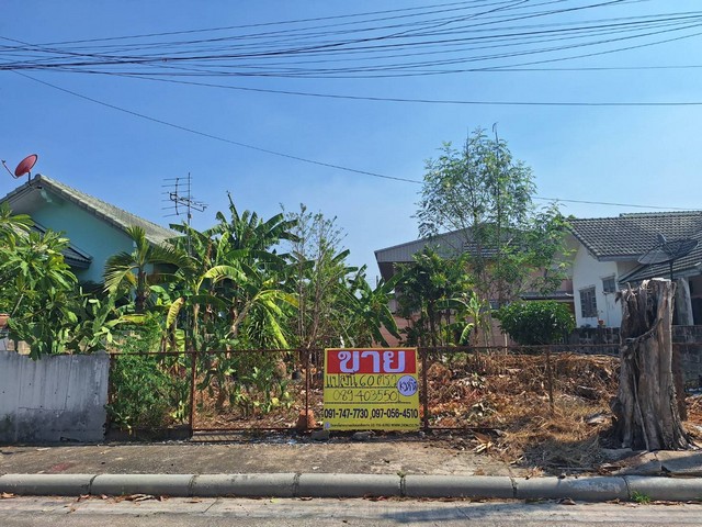 ขายที่ดินสวย ถมแล้ว  60 ตร.วา ราคาไม่แรง  หมู่บ้านสวนปาล์มลากูล สมุทรสาคร   ZW368