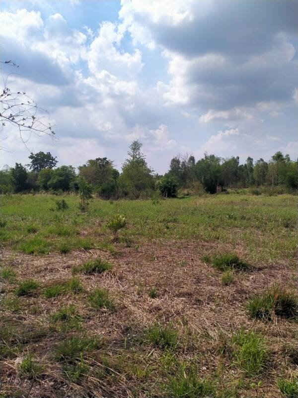 ที่ดินเปล่า ตำบล ตะกุดไร อำเภอ ชนแดน จังหวัด เพชรบรูณ์