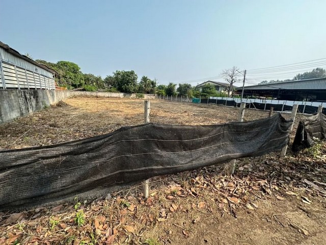 ขายด่วนที่ดินเปล่า ทำเลสวย ติดถนนหลัก หนองหอย-สารภี