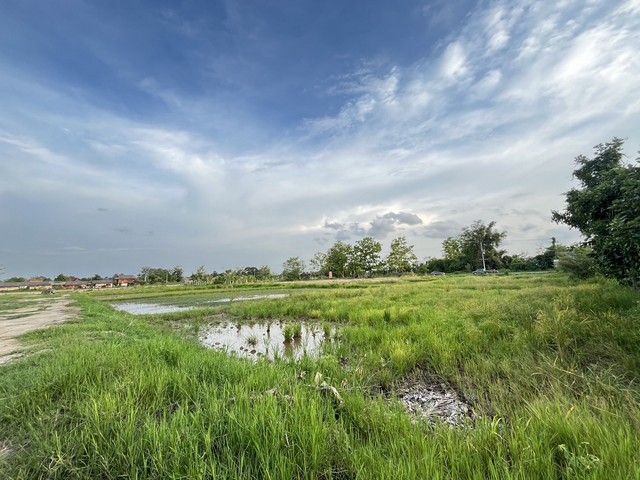 ขายที่ดินสวยๆ ที่นาขนาด 2 ไร่ 28.3 ตารางวา ตำบลสันปูเลย อำเภอดอยสะเก็ด จังหวัดเชียงใหม่