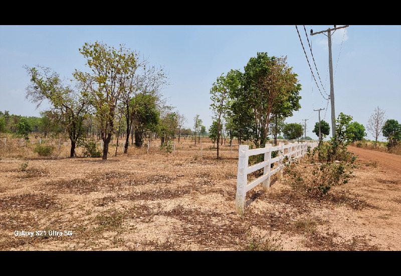 ขายที่ดินเปล่า ต.บ้านโคกสูง อำเภออุบลรัตน์ จังหวัดขอนแก่น ใกล้เขื่อนอุบลรัตน์ ราคาเจ้าของขายเองไม่มีบวก