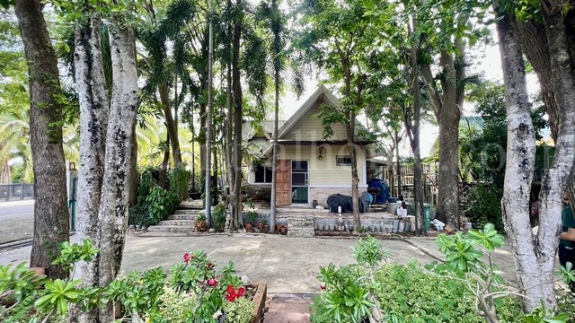 ที่ดิน 2 ไร่ พร้อมสิ่งปลูกสร้าง ไทรน้อย - นนทบุรี  