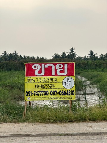 ขายที่ดิน 7-3-68.3 ไร่ ต.ชัยมงคล สมุทรสาคร  ทำเลสวยมาก  ZW117 
