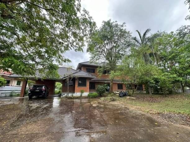 สุดคุ้ม ขาย 12 ล้าน ที่ดิน 1-1-25 ไร่ สันผักหวาน หางดง หลัง Star Avenues 5 เหมาะสำหรับทำบ้านสวน ไม่ติดรั้ว พื้นที่กว้างขวาง เพื่อนบ้านน่ารัก