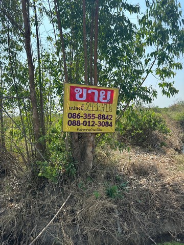 ขายที่ดิน 2แปลง เนื้อที่ 24-1-41 ไร่ และ 35-3-43 ไร่  ซอยวัดโพธิ์งาม กำแพงแสน    นครปฐม   ZT384