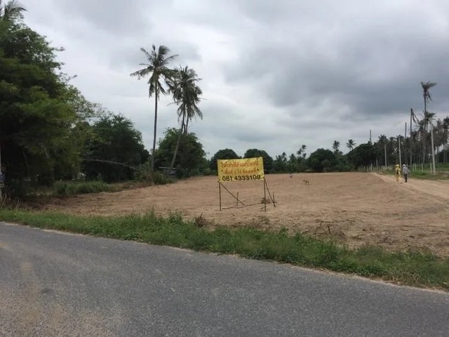 ขายที่ดิน ต.หนองซำ้ซาก อ.บ้านบึง จ.ชลบุรี เข้าออกได้หลายทาง ใกล้ทางด่วนมอเตอร์เวย์