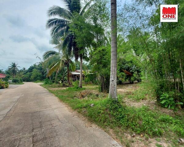 ขายสวนมะพร้าว + สวนยาง บางสะพาน ประจวบคีรีขันธ์ 6 ไร่