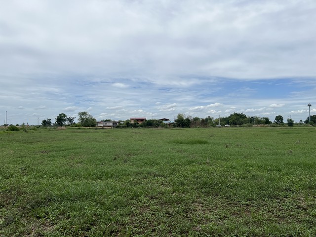 ขายที่ดิน ถ. โรจนะ ต.ลำตาเสา อยุธยา เนื้อที่ 22ไร่3งาน84ตรว. ใกล้ อบต.ลำตาเสา 4 นาที